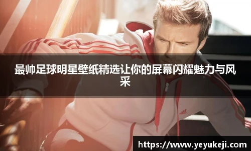 星空综合中国官方网站